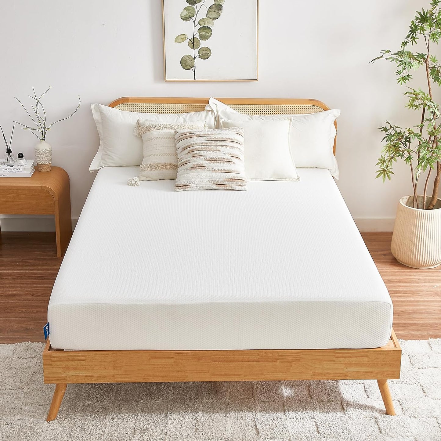 Full Mattress, 6 Inch Memory Foam Mattress in a Box, Fiberglass Free Full Size Mattresses for Pressure & Pain Relief, Soft and Comfortable